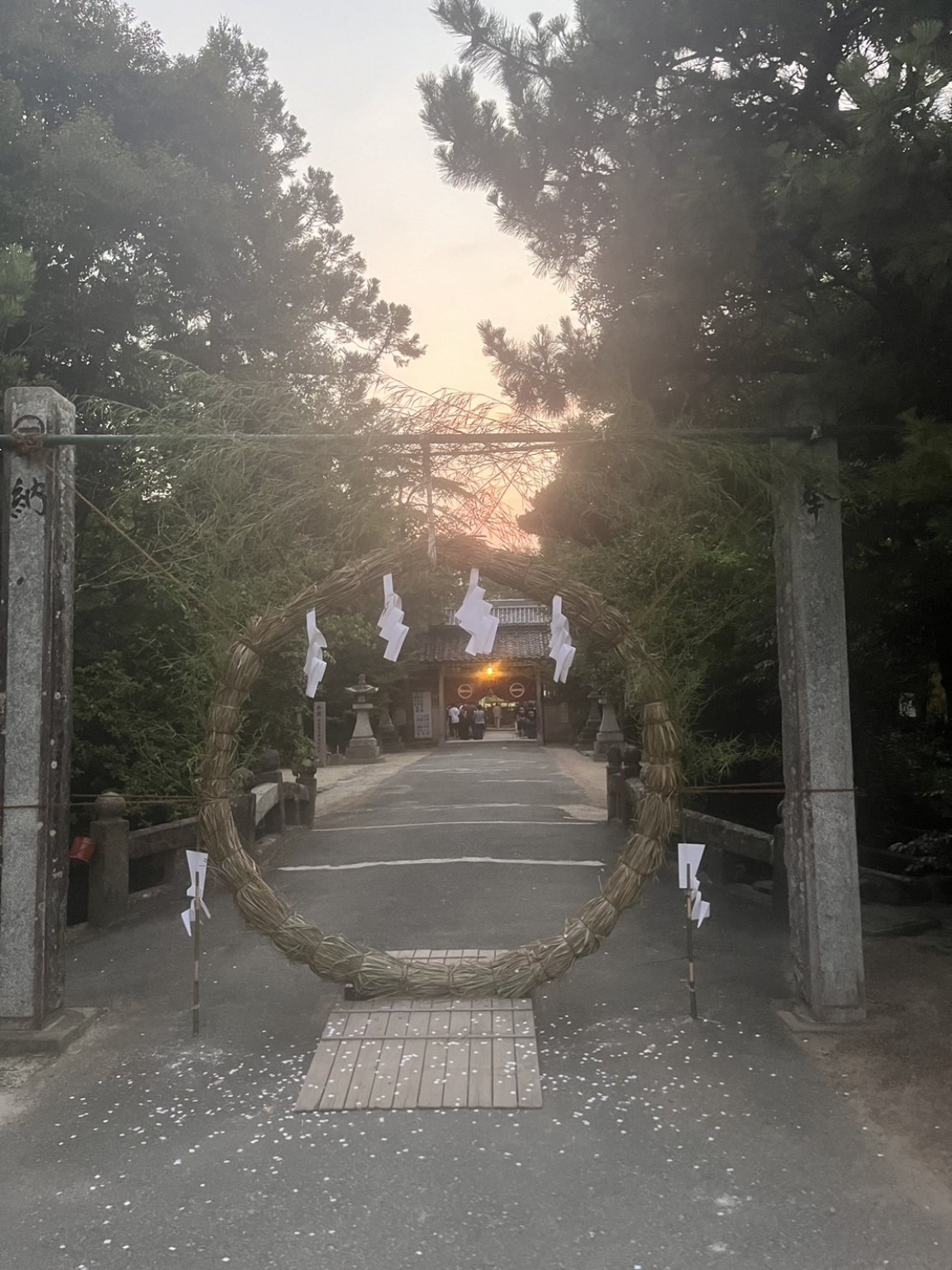 夕暮れの参道に設けられた茅の輪と、その奥に見える神門