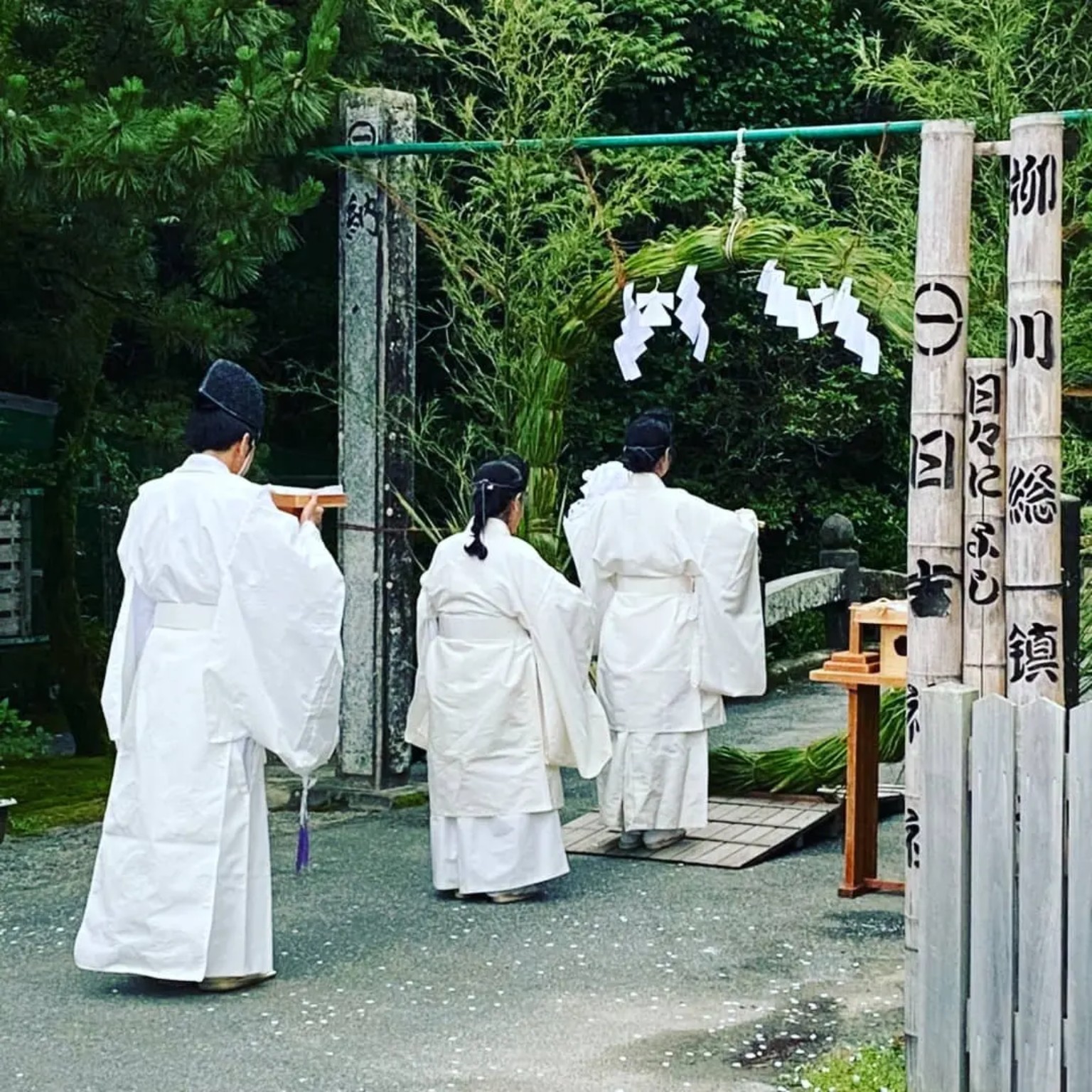 茅の輪の前で神事を奉仕する白い装束の神職