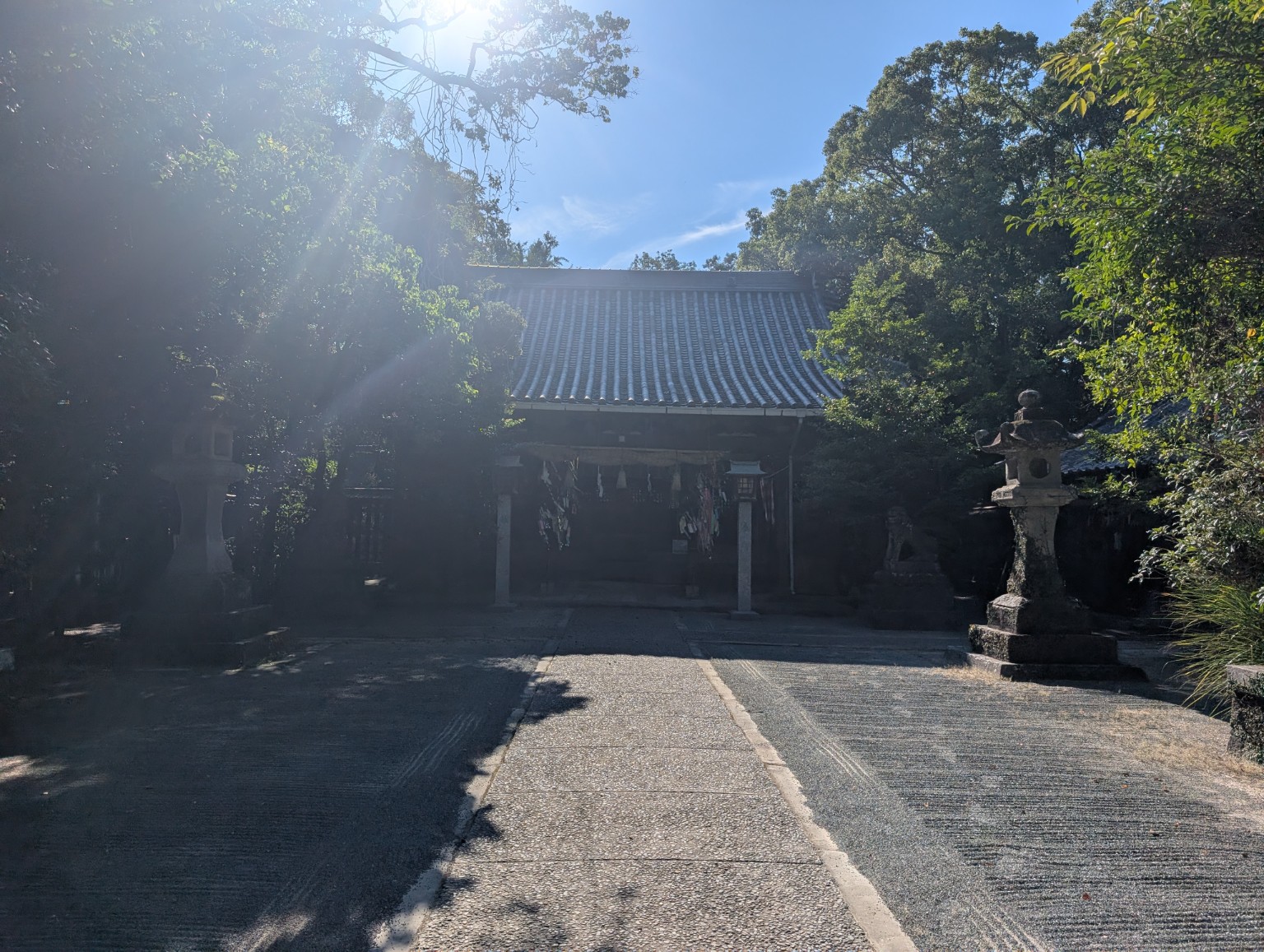 木々の間から光が差し込む、日吉神社の拝殿と参道