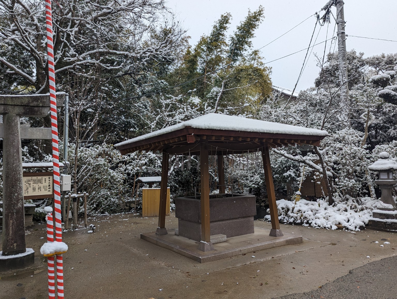 屋根と周囲の木々に雪が積もった手水舎